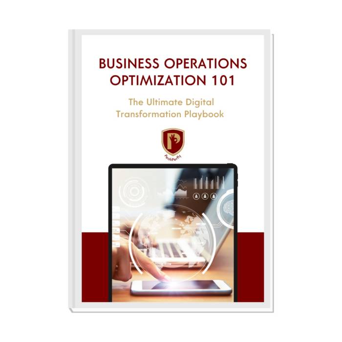 Business Operations Playbook