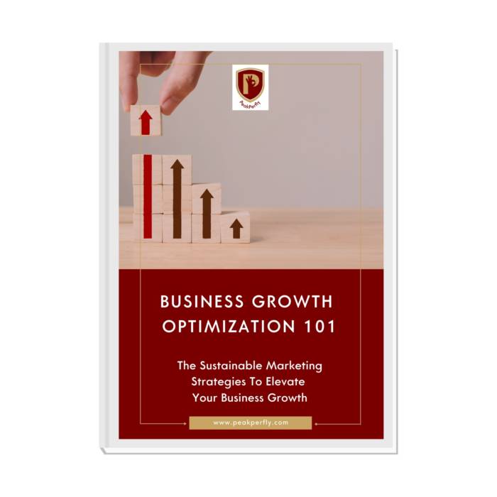 Business Growth Playbook